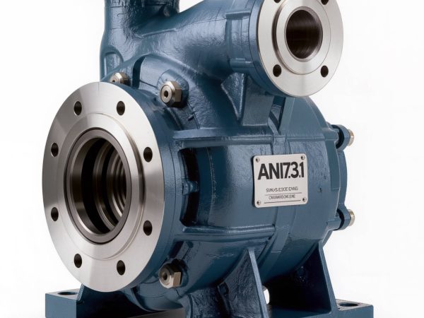 Custom OEM ANSI pump manufacturing service — engineered-to-order centrifugal process pumps