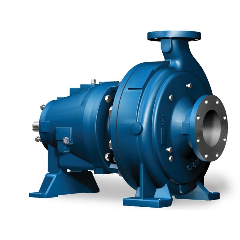 3175 Heavy Duty Process Pump