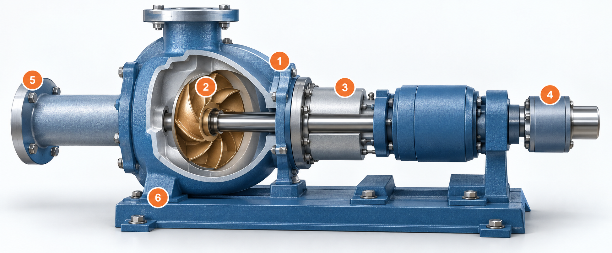 Conceptual cutaway illustration of a generic ANSI horizontal process pump showing wet-end and shaft fitment review locations.